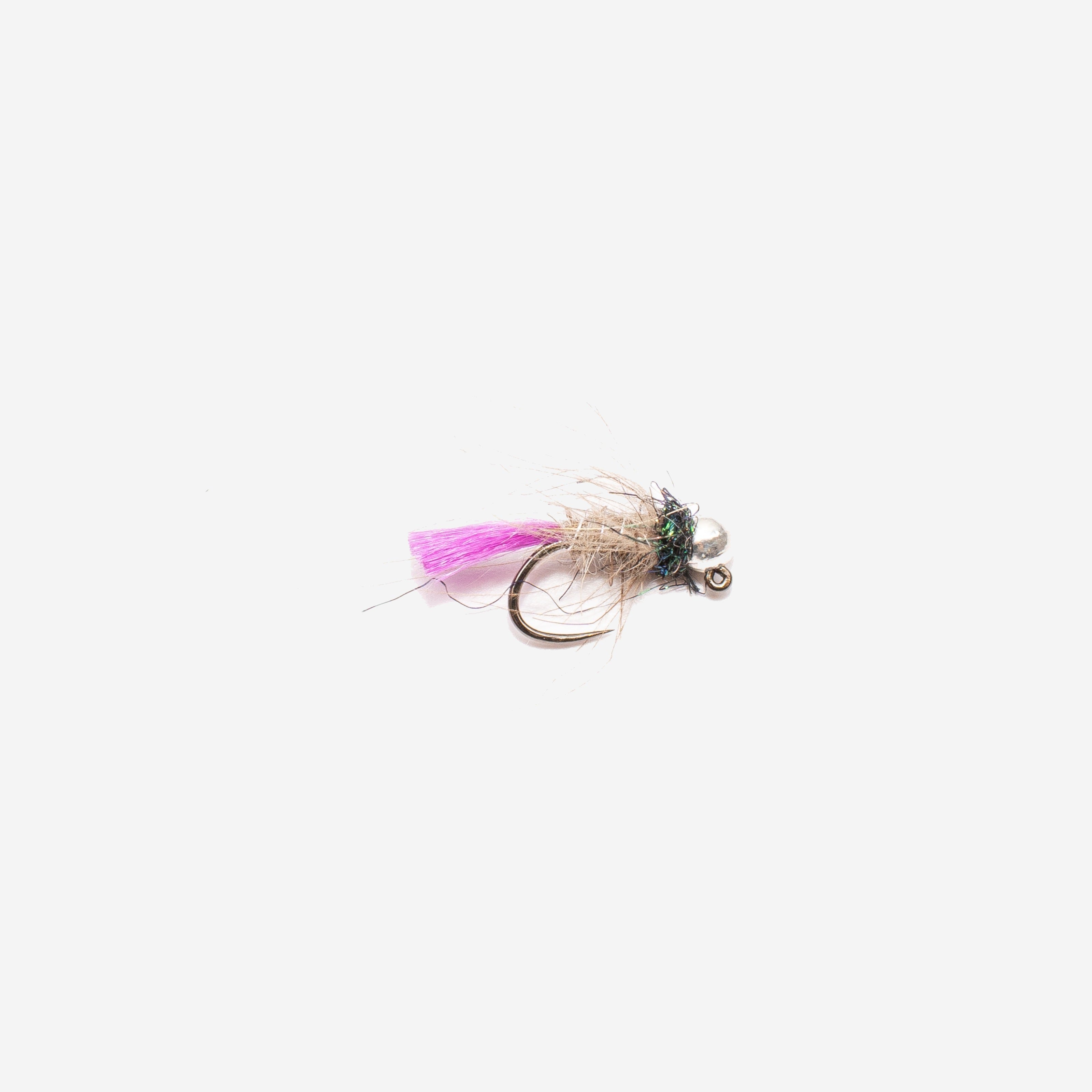 Violet Tail Jig