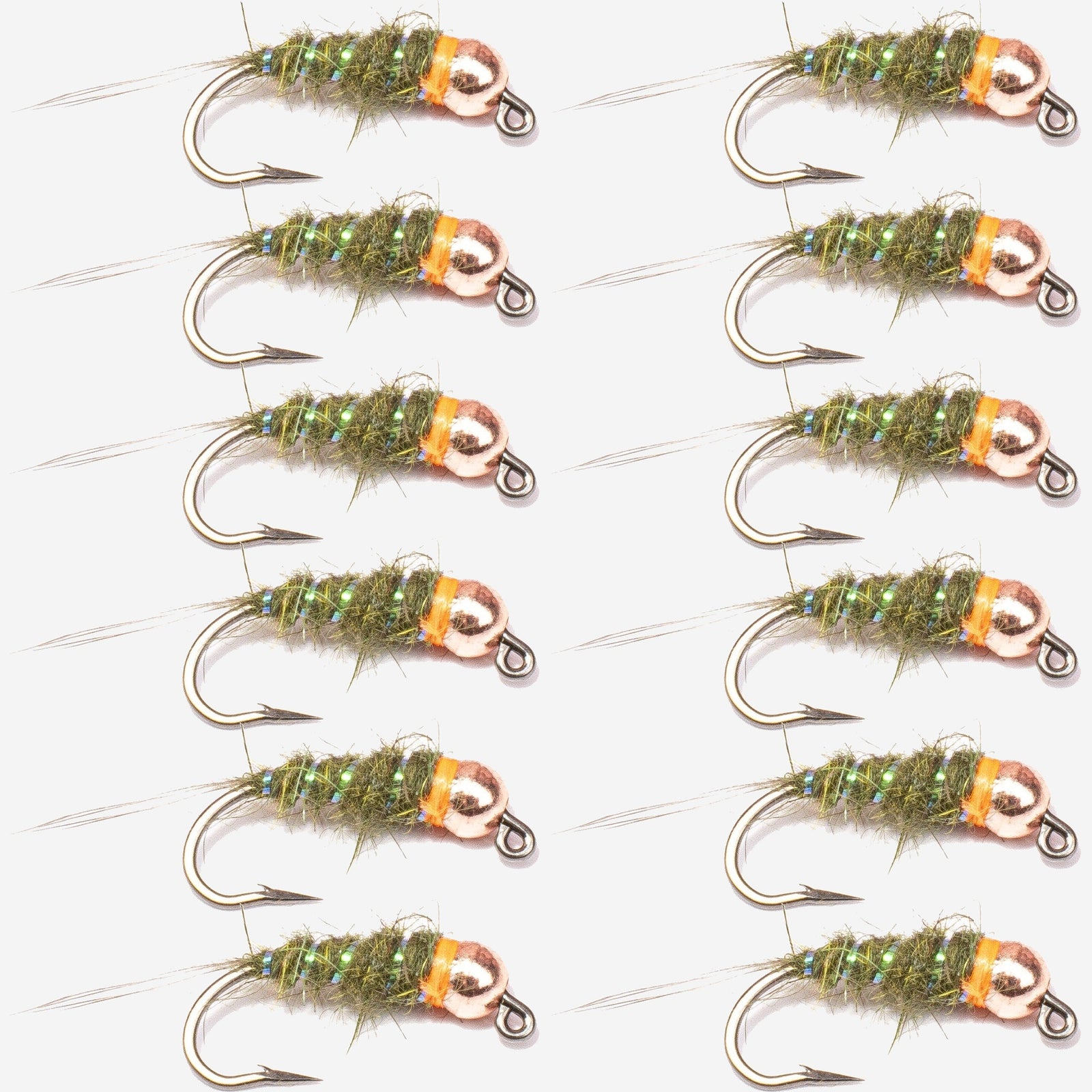 12-Pack Sexy Walt's Worm