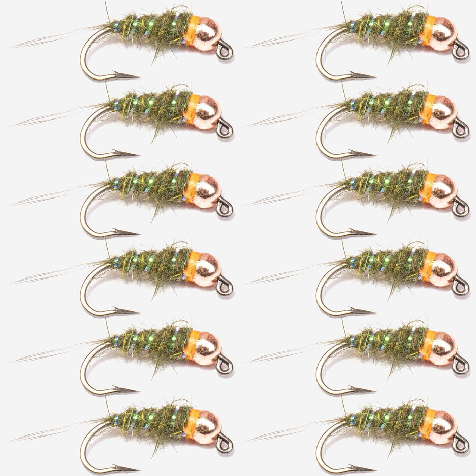 12-Pack Sexy Walt's Worm