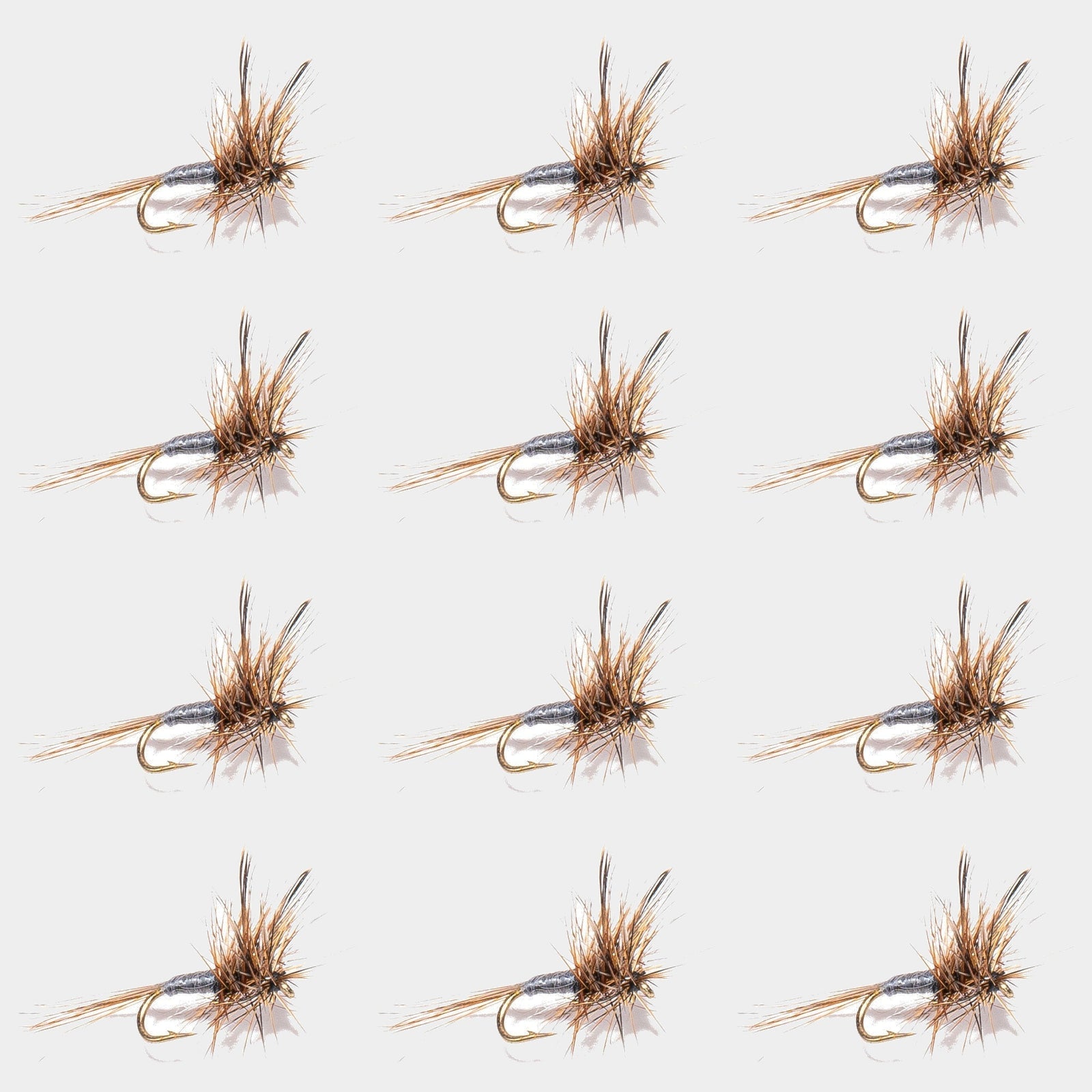 12-Pack Adams