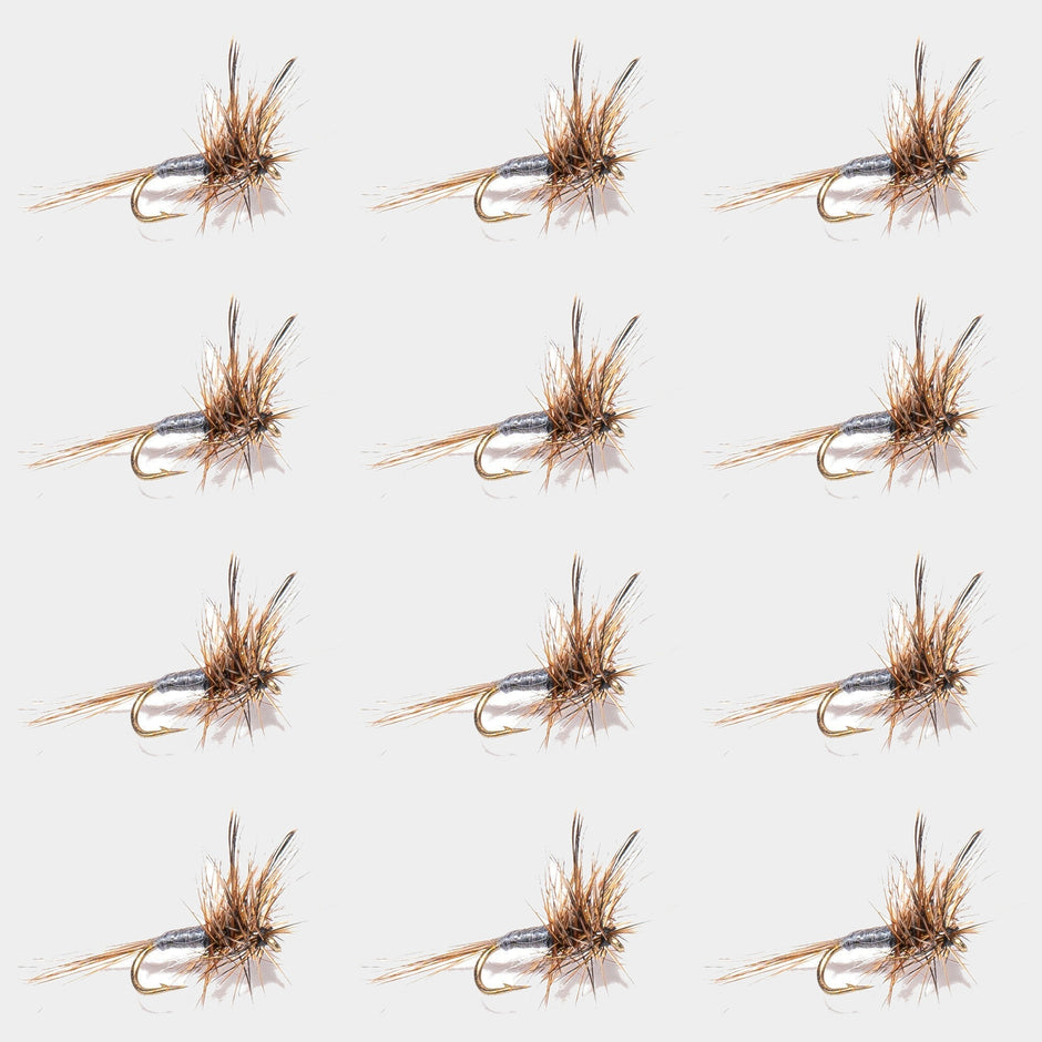 12-Pack Adams