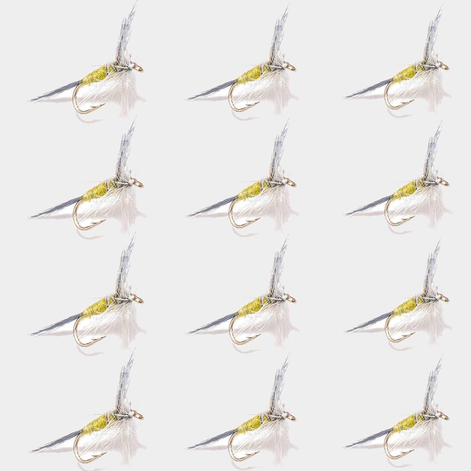 12-Pack Blue Wing Olive