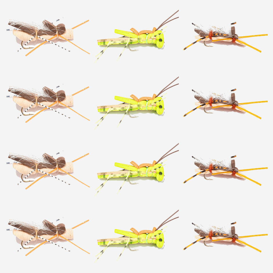12-Pack Hopper Assortment