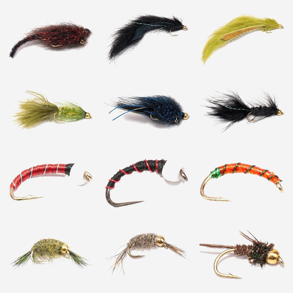 54-Pack Stillwater Assortment