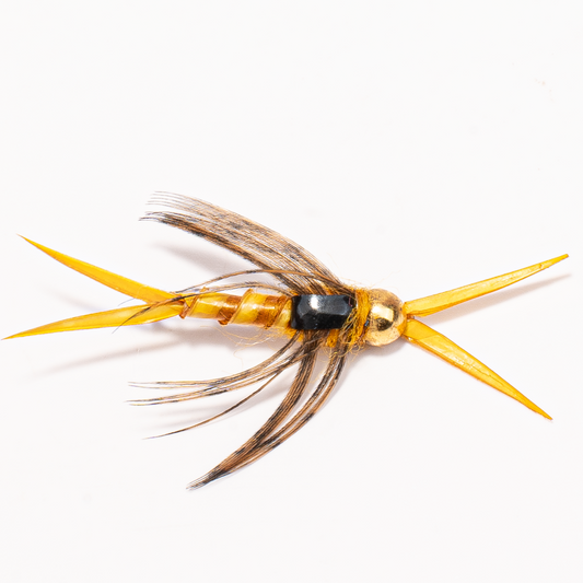 Stonefly Nymph