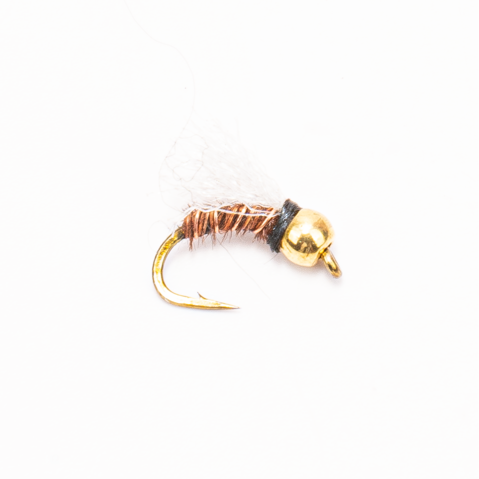 Shop Vac Nymph – High-Attraction Trout Nymph