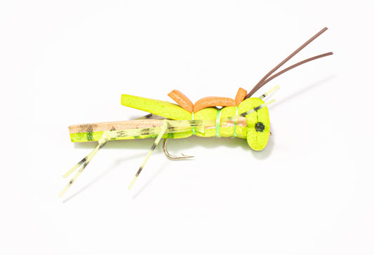 Morrish Foam Hopper