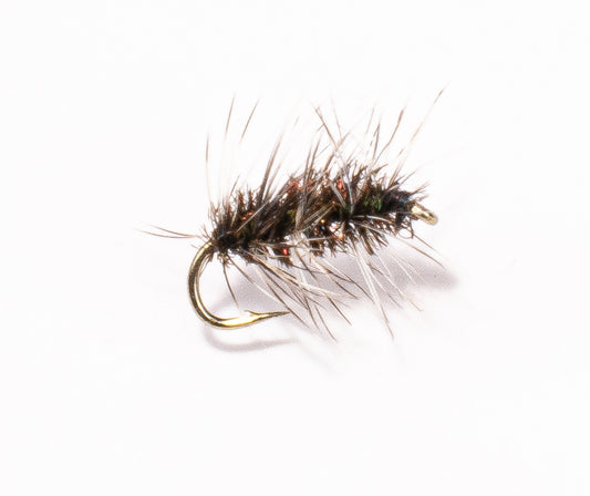 Giffith’s Gnat