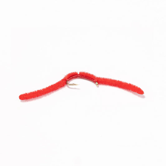 San Jaun Worm