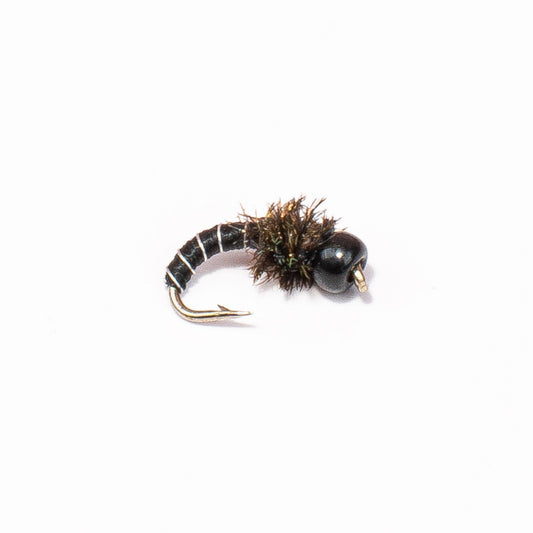 Zebra Midge