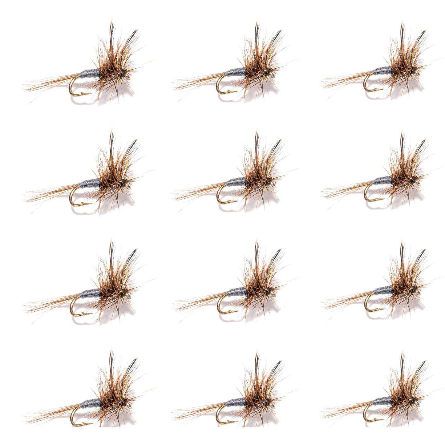 12-Pack Adams