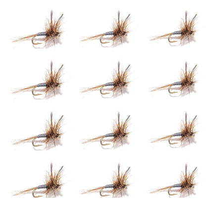 12-Pack Adams