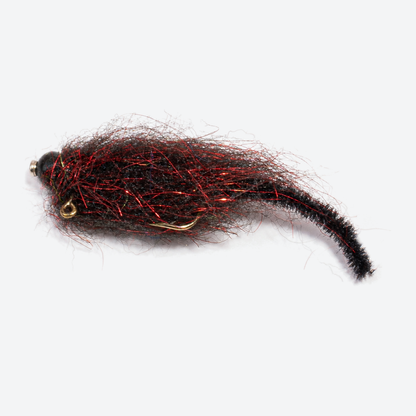 Balanced leech black red fly on a pale studio background