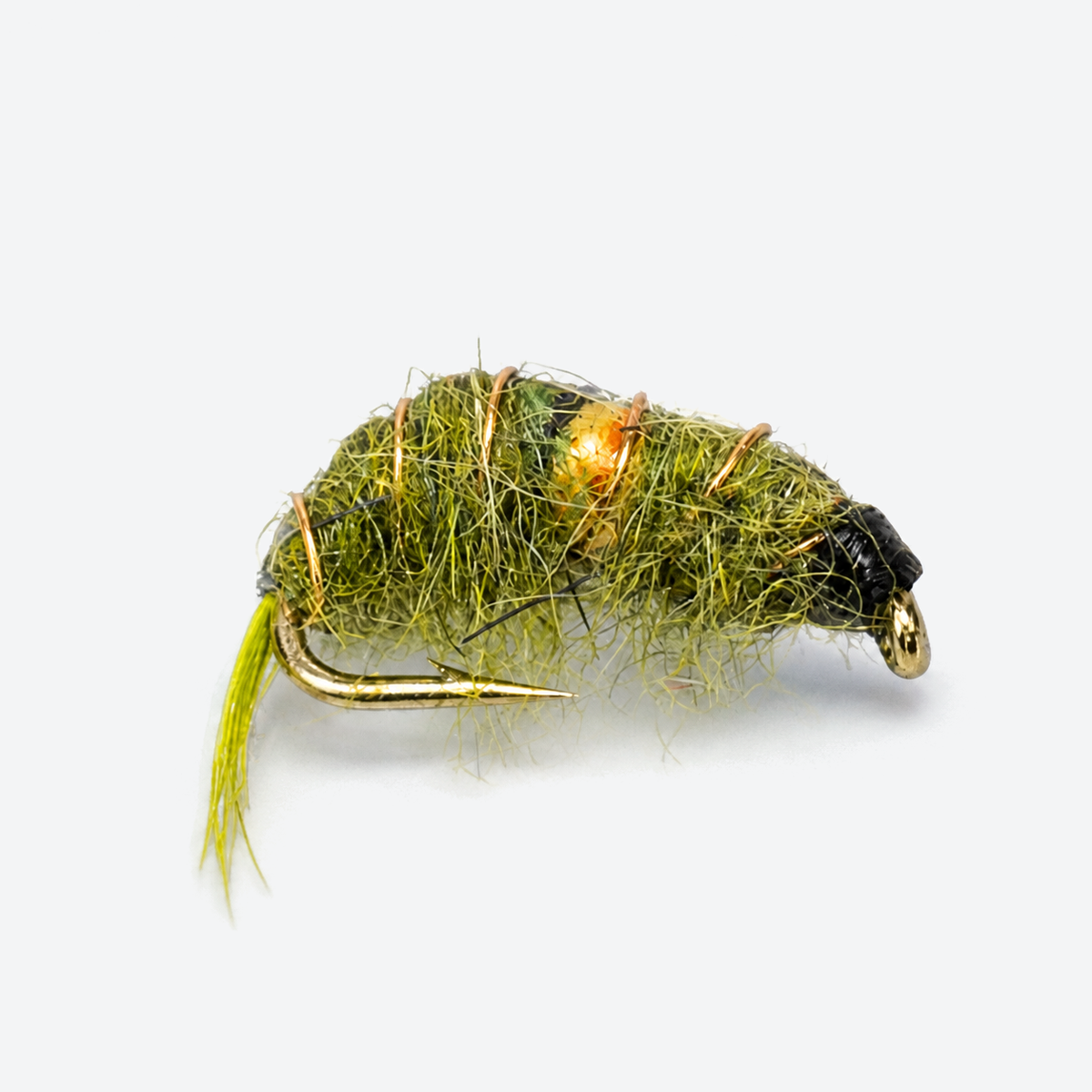 Bead Body Scud single fly on a pale studio background