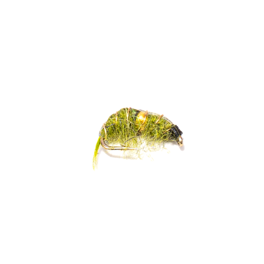 Bead Body Scud