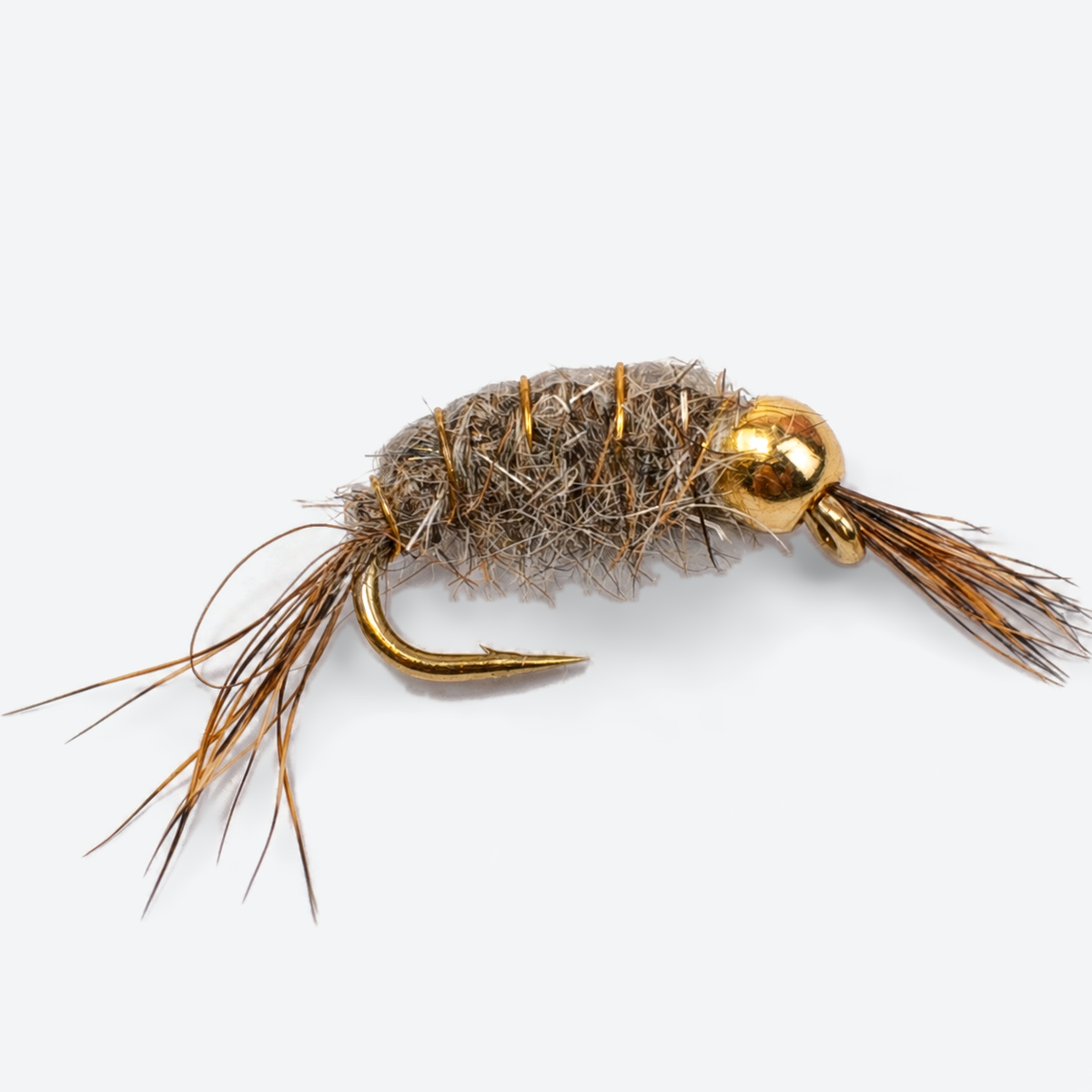 Scud - Bead Head single fly on a pale studio background