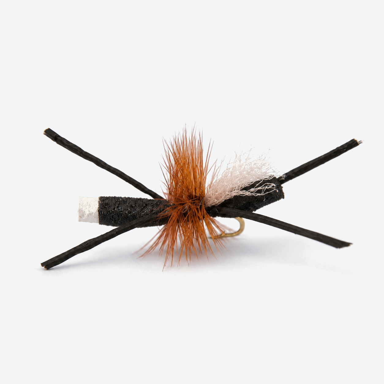 Bionic Ant single fly on a pale studio background