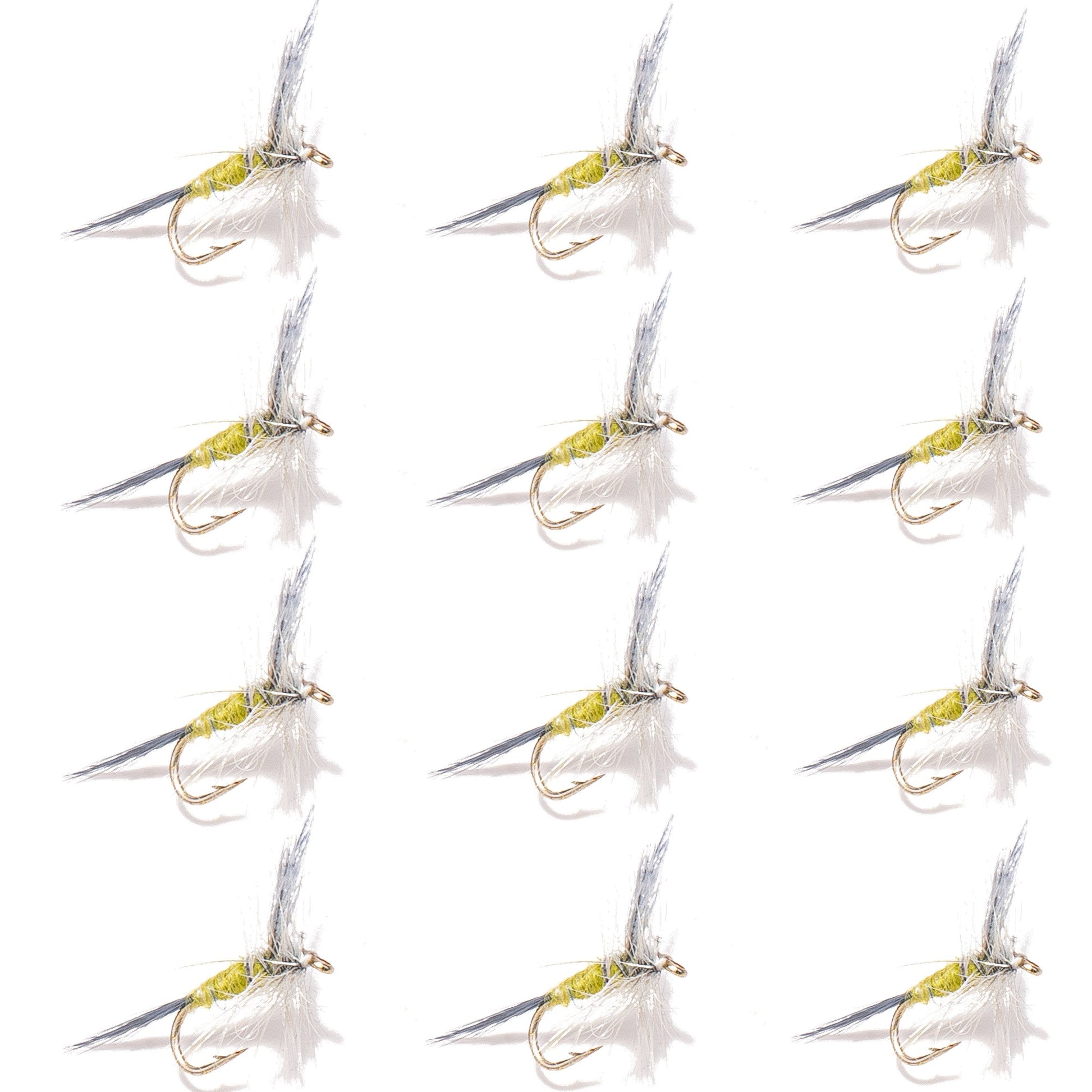 12-Pack Blue Wing Olive