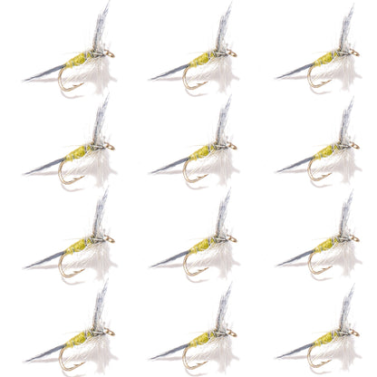 12-Pack Blue Wing Olive