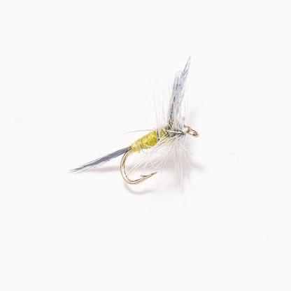 Blue Wing Olive - BWO