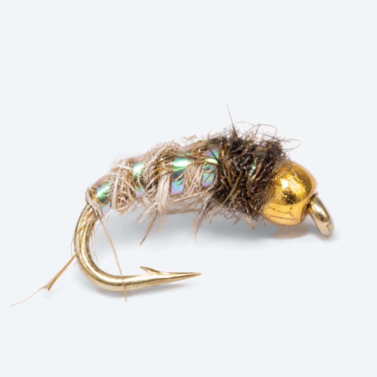 Caddis Larva