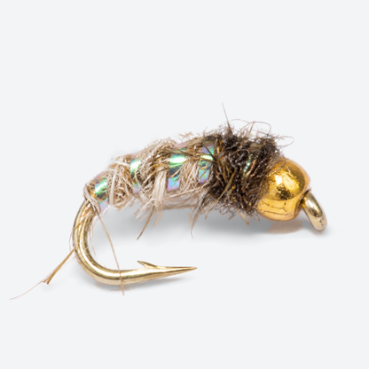 Caddis Larva