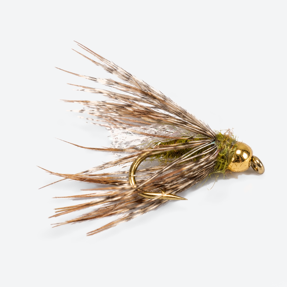 Caddis Pupa