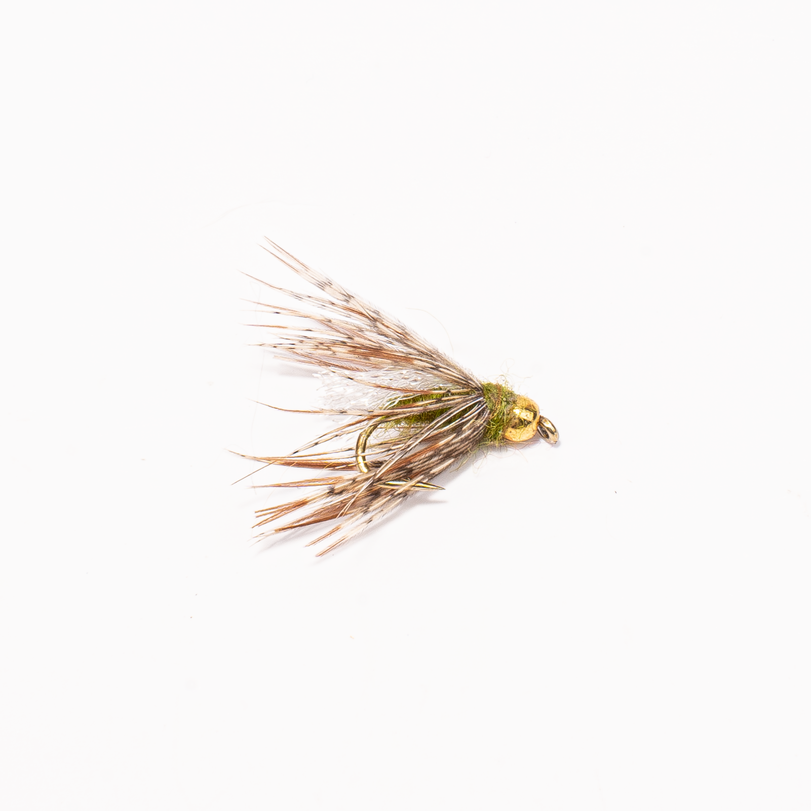 Caddis Pupa