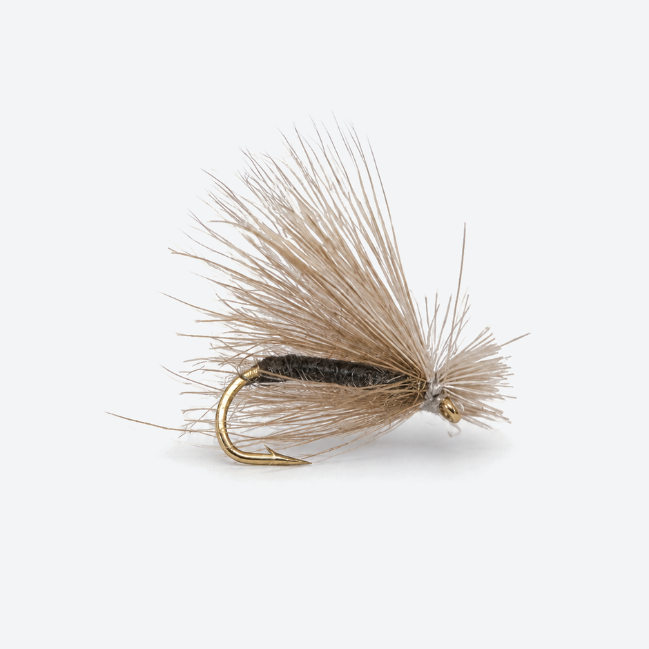 CDC & Elk Caddis single fly on a pale studio background