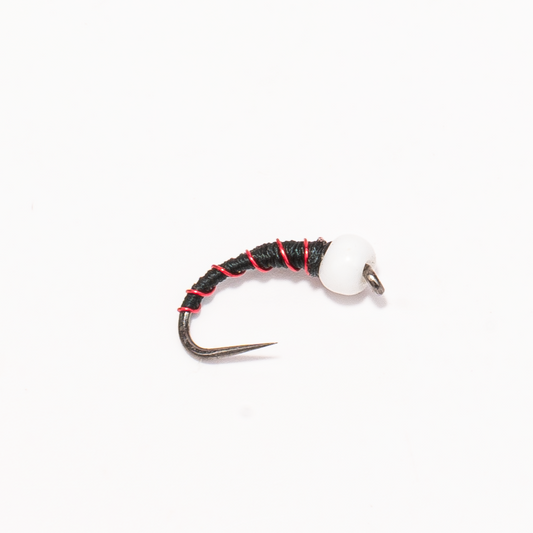 Chironomid Midge Pupa
