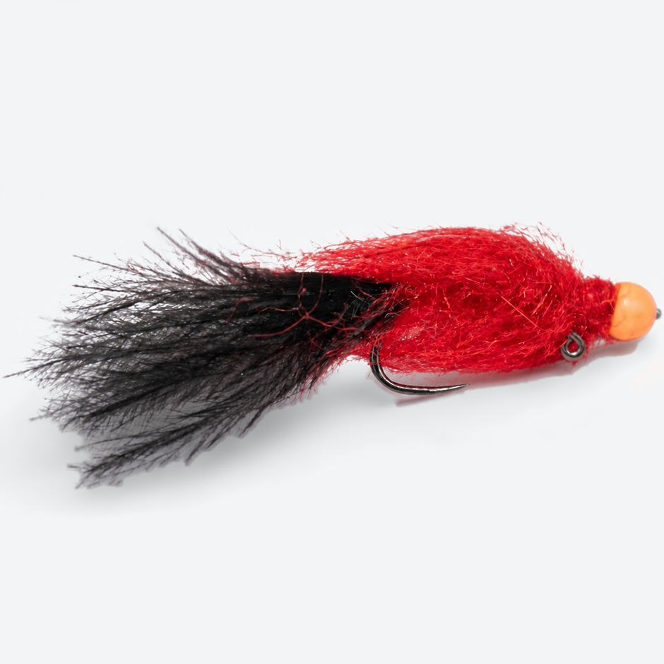 Egg Sucking Leech