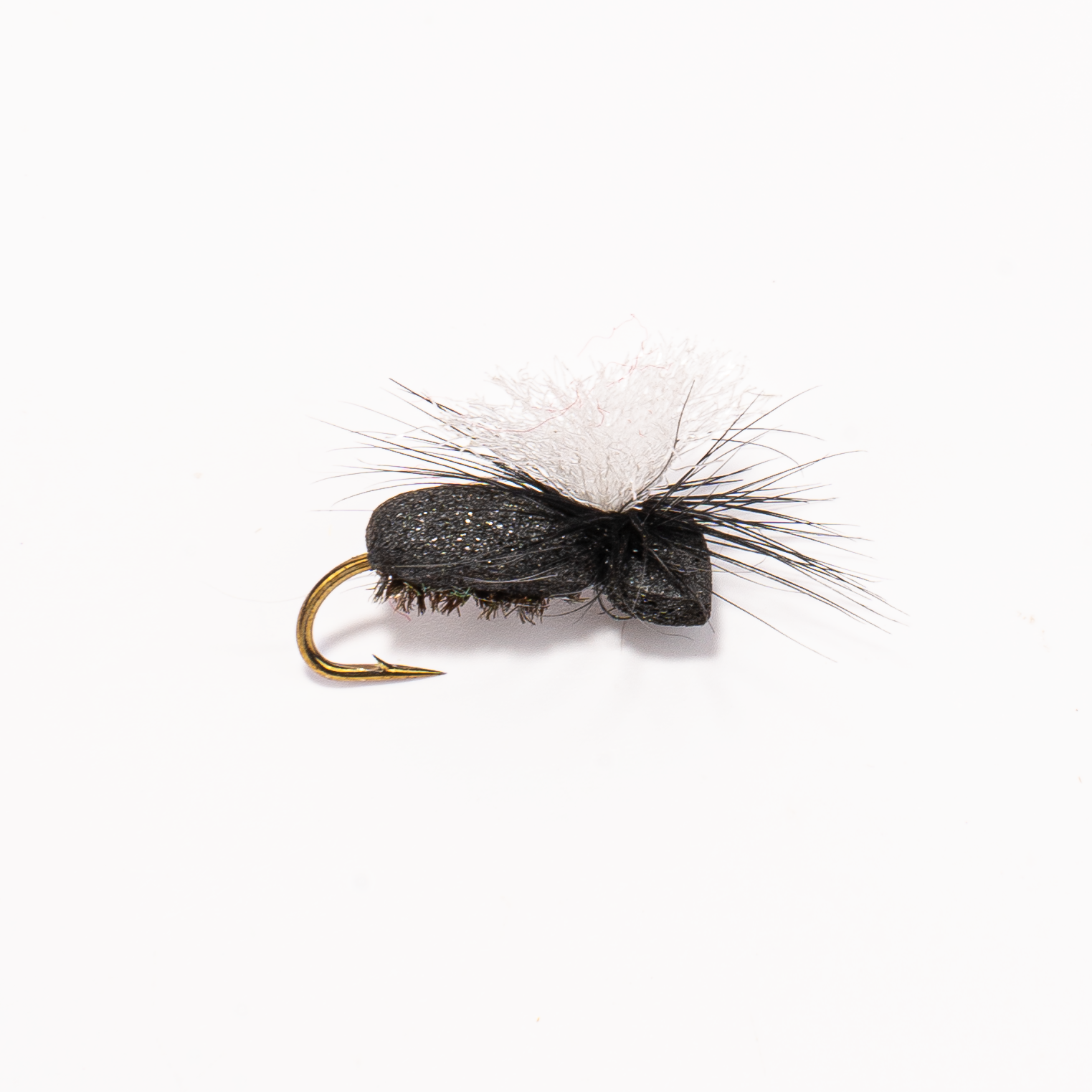 Foam Beetle