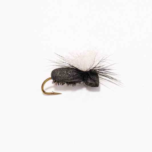 Foam Beetle Fly (Terrestrial Pattern) for Trout