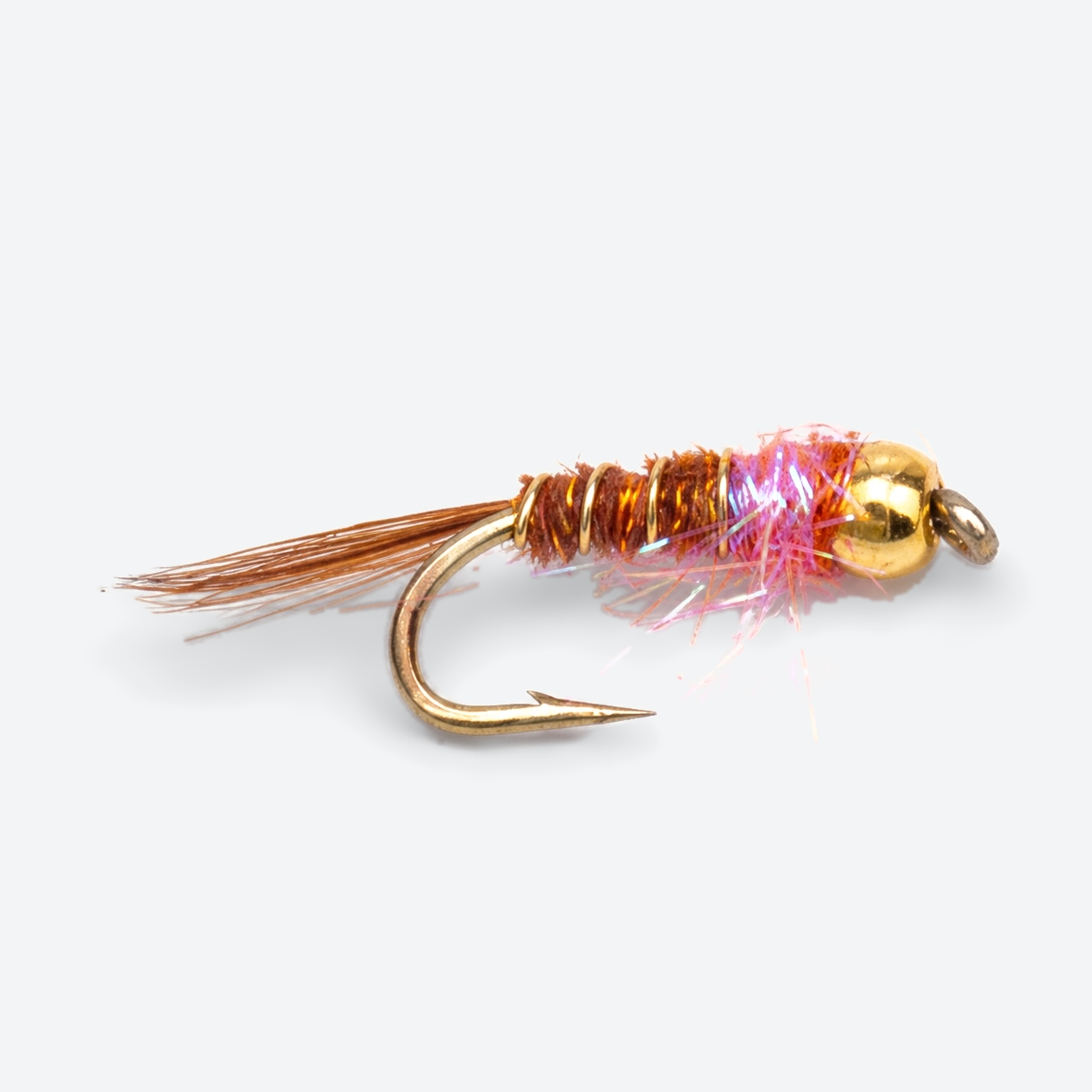 Frenchie single fly on a pale studio background