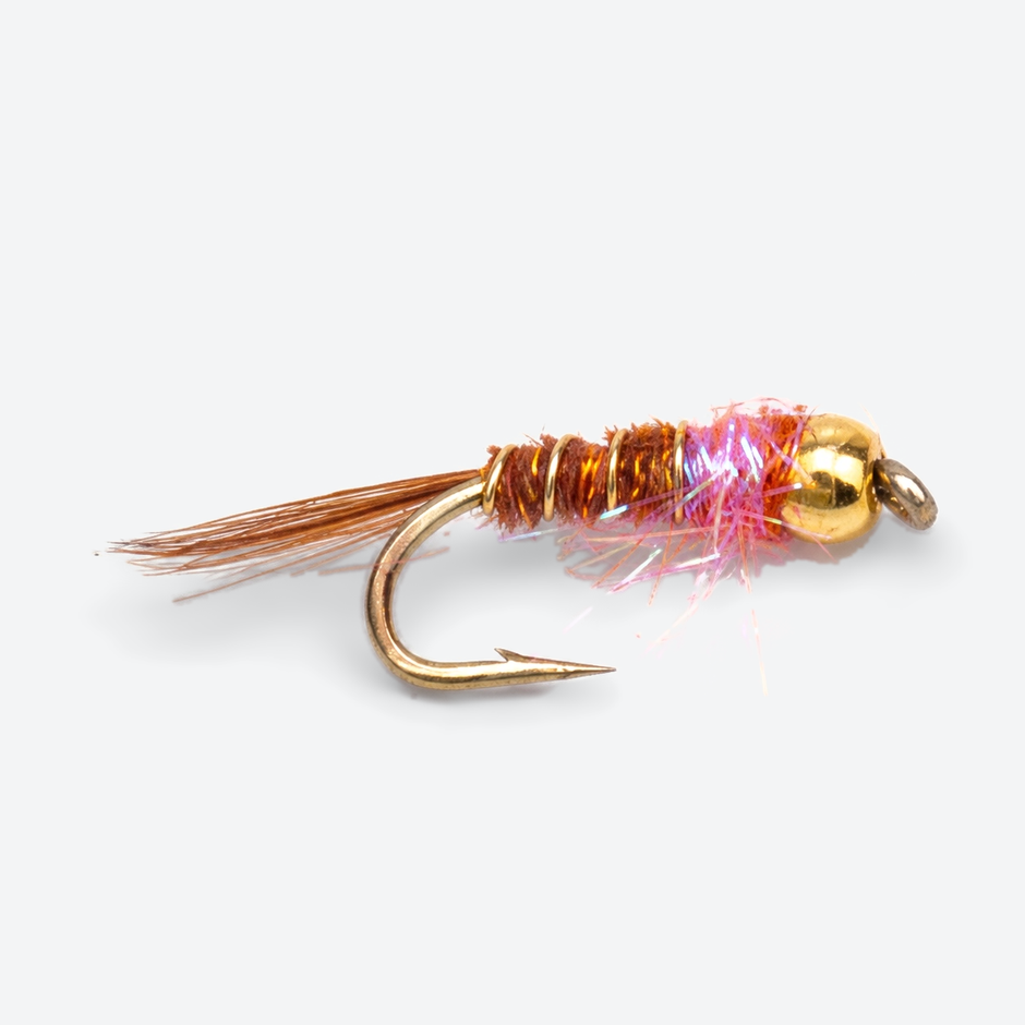 Frenchie single fly on a pale studio background