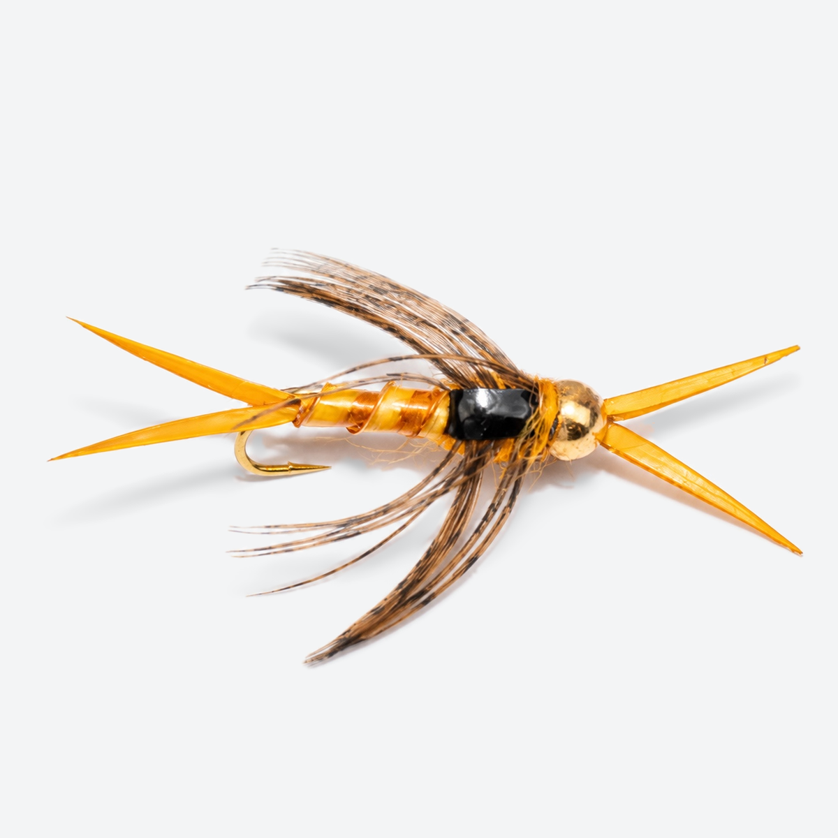 Stonefly Nymph