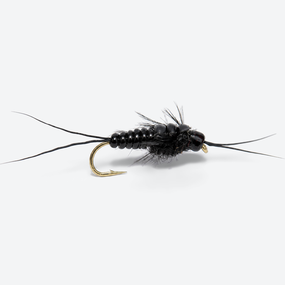 Stonefly Nymph single fly on a pale studio background