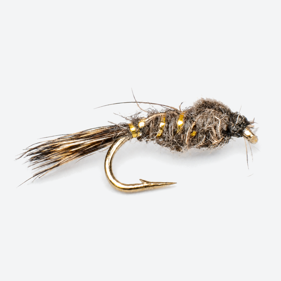 Hare's Ear single fly on a pale studio background