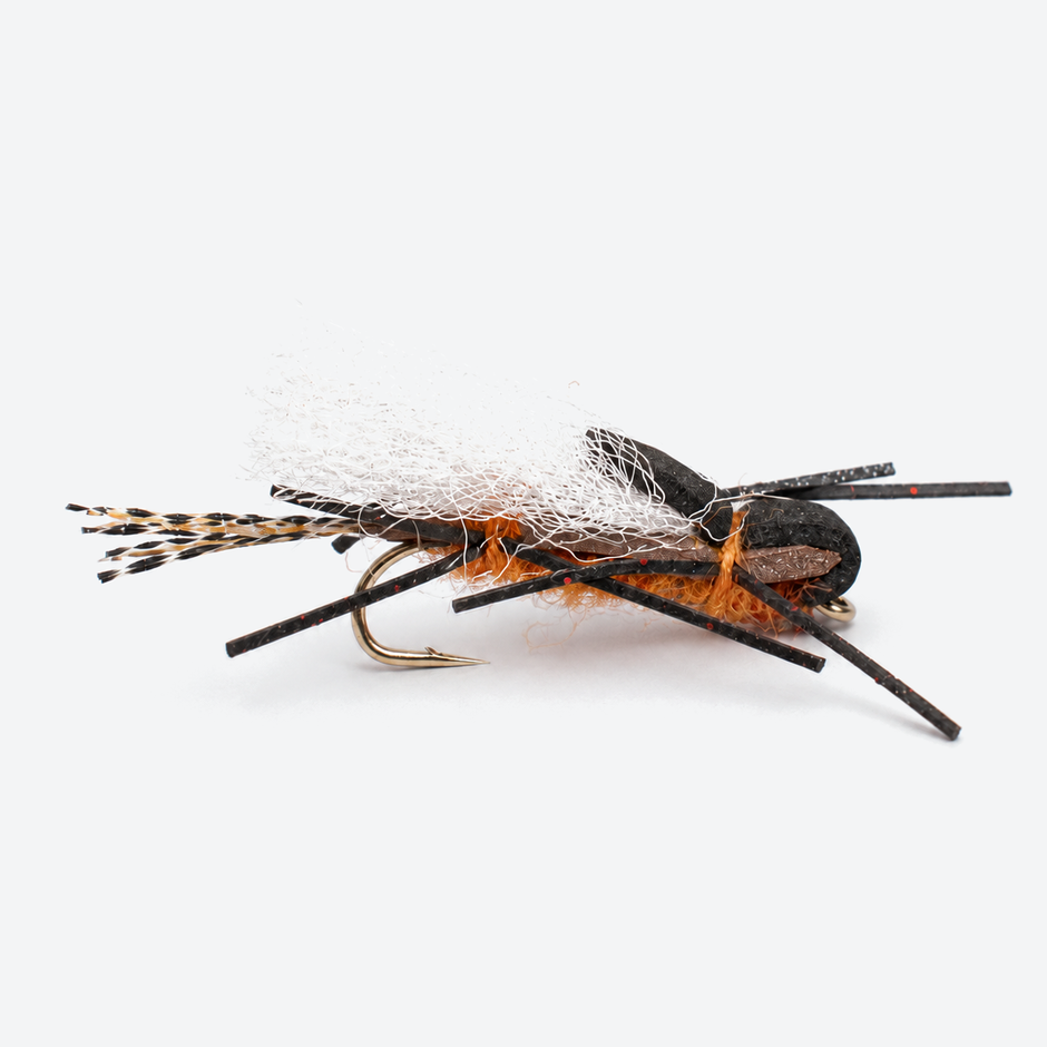 Henry's Fork Salmon Fly single fly on a pale studio background