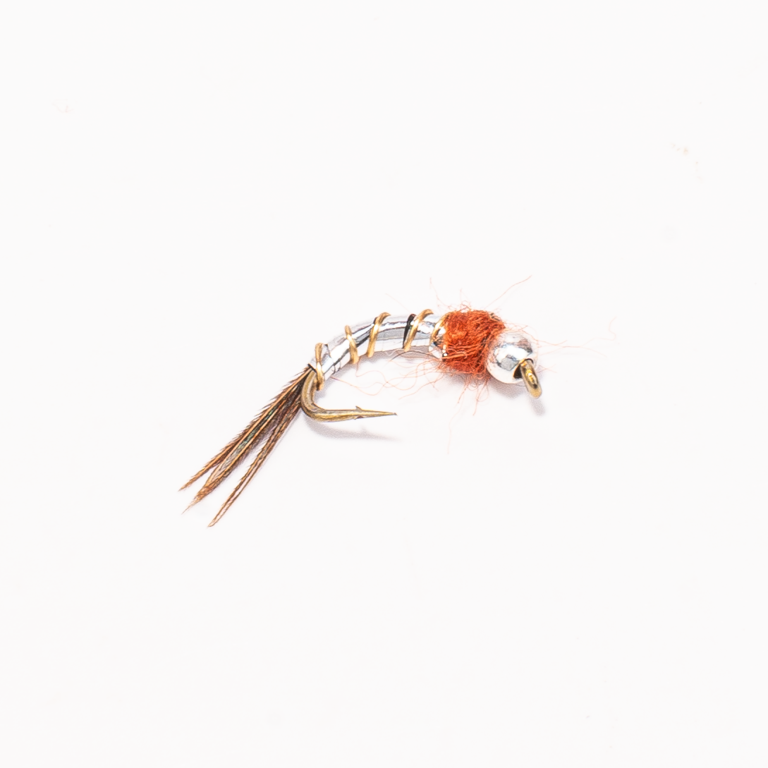 Lightning Bug