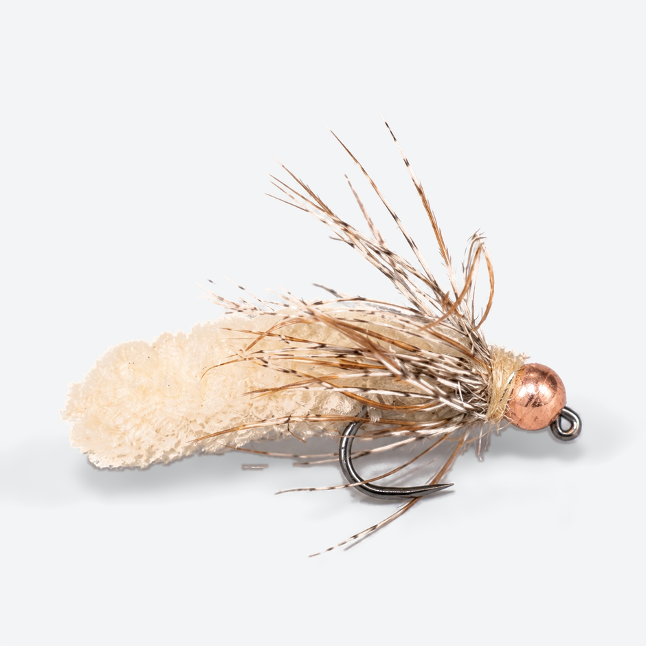 Mop Fly single fly on a pale studio background