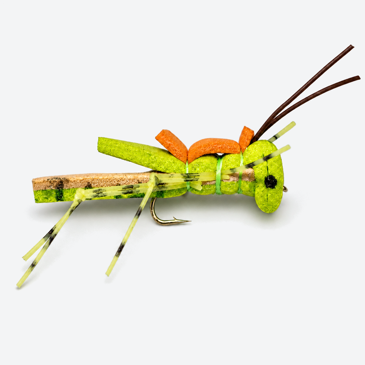 Morrish Hopper - Green single fly on a pale studio background