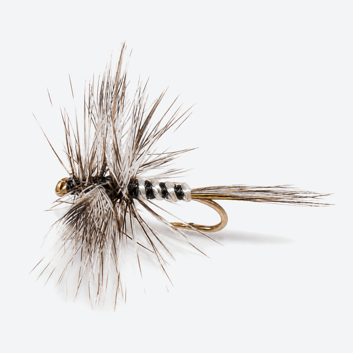 Mosquito fly on a pale studio background