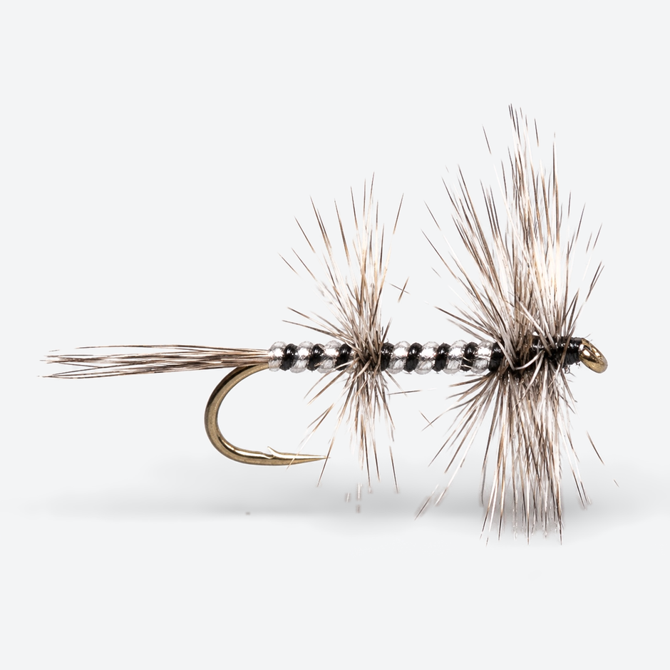 Mosquito