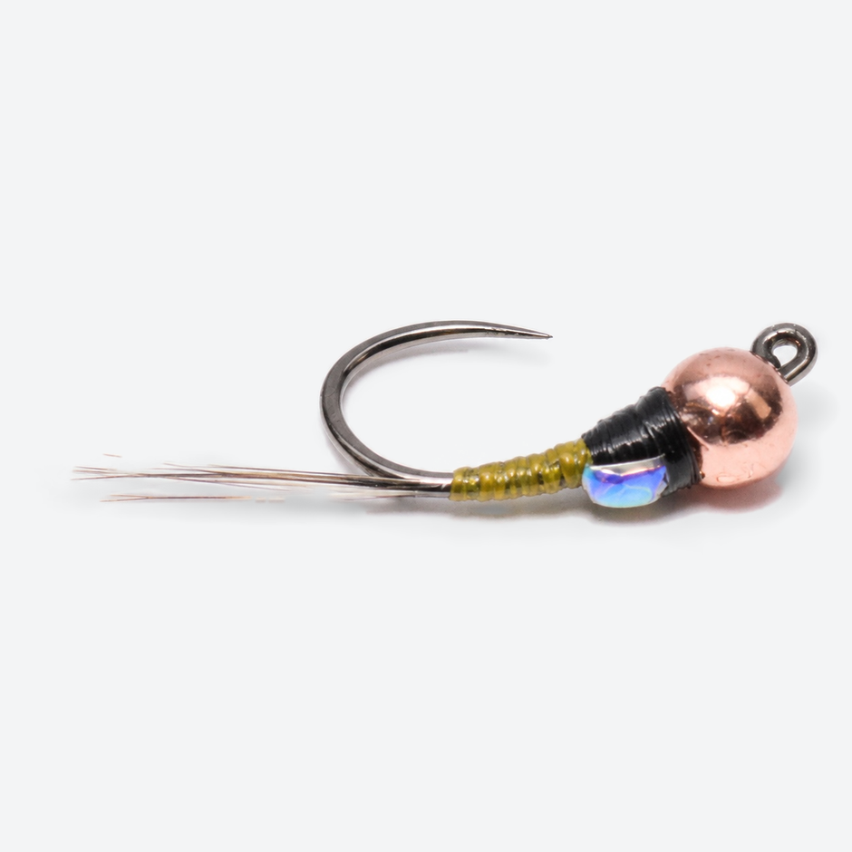 Olive Spanish Bullet Perdigon single fly on a pale studio background