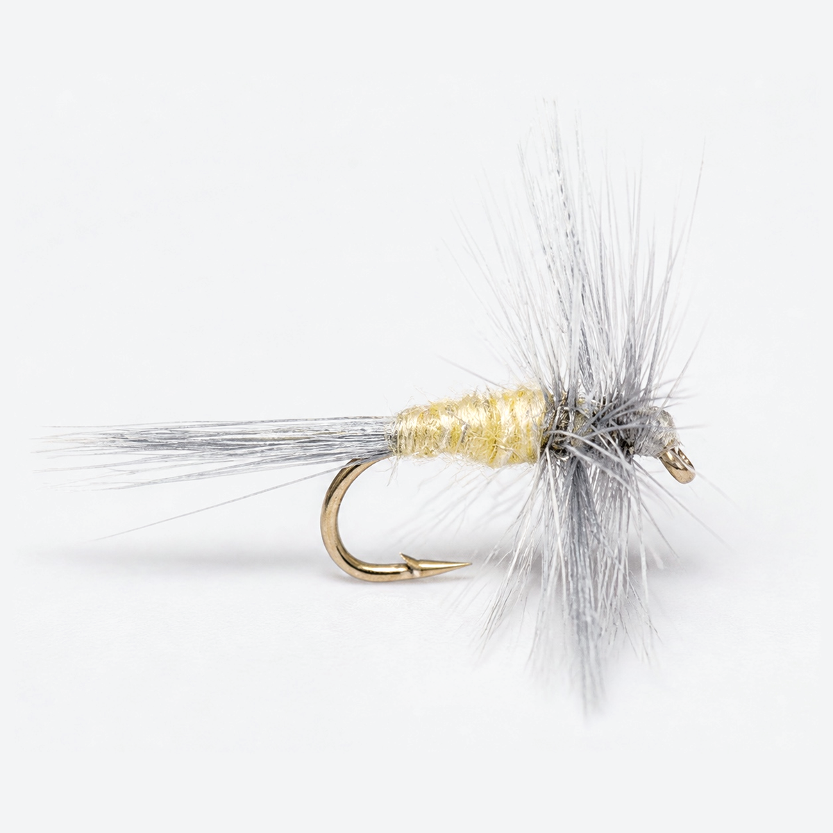 Pale morning dun pmd fly on a pale studio background