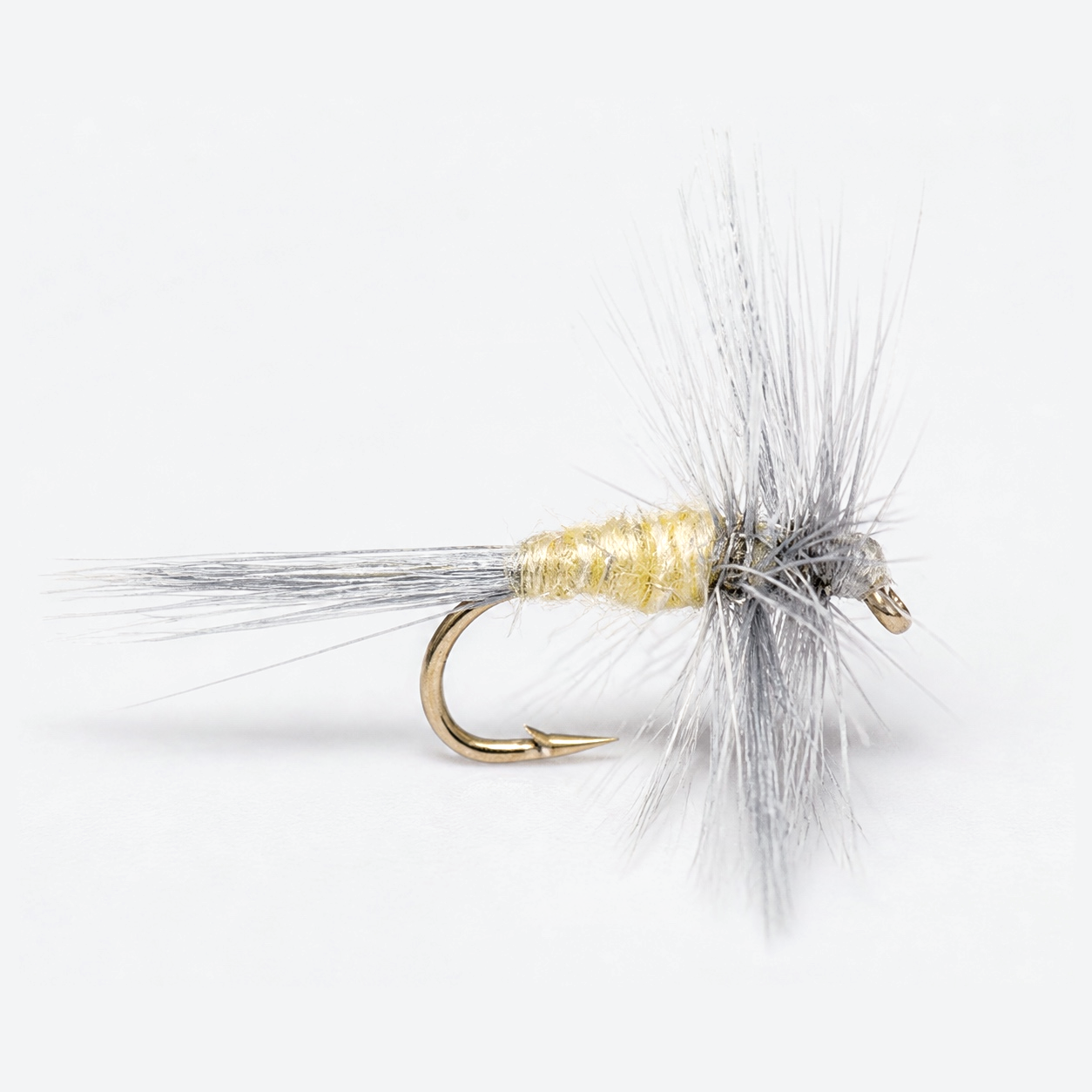 Pale morning dun pmd fly on a pale studio background