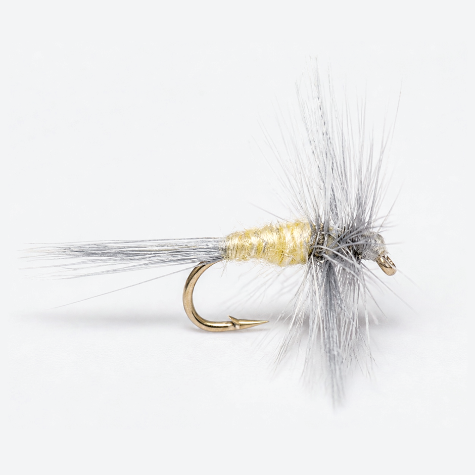 Pale morning dun pmd fly on a pale studio background