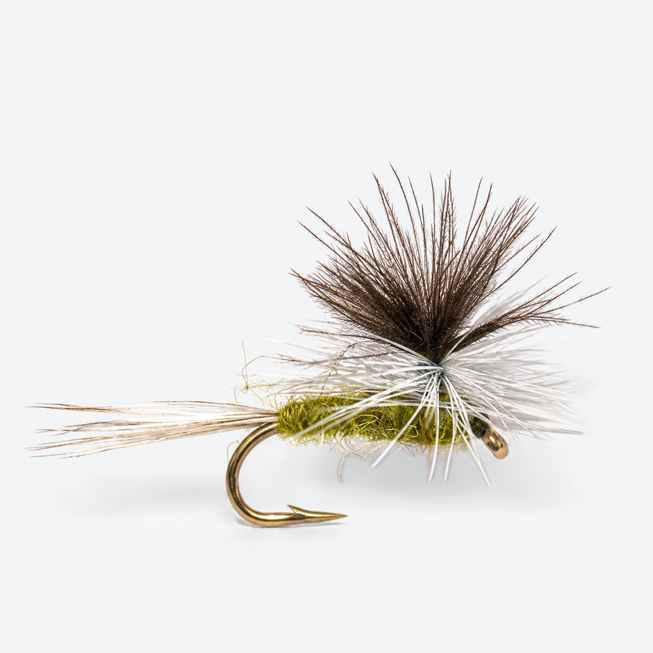 Parachute BWO