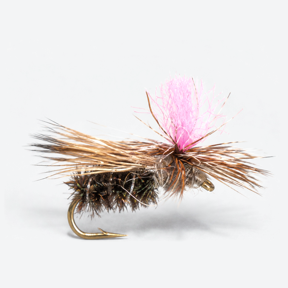 Parachute Caddis